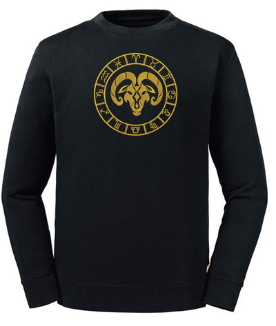 Aries Embroidered Sweatshirt - AlkhemistVision