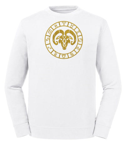 Aries Embroidered Sweatshirt - AlkhemistVision