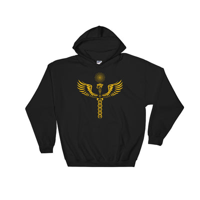 Winged Horus Chakra Sweatshirt - AlkhemistVision