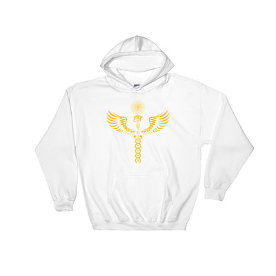 Winged Horus Chakra Sweatshirt - AlkhemistVision